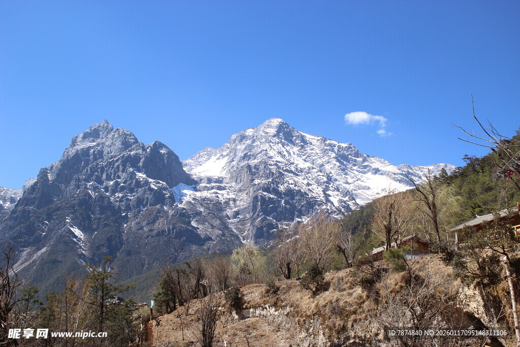 巍峨雪山与山间植被景观