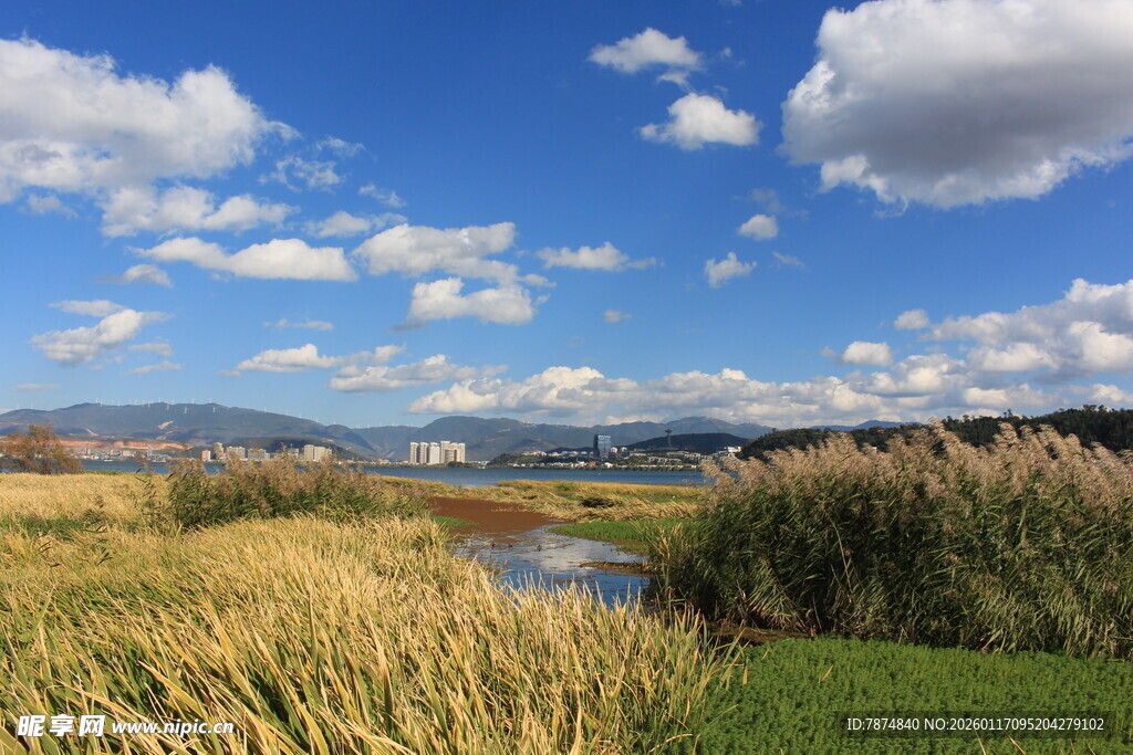 田园河畔风光