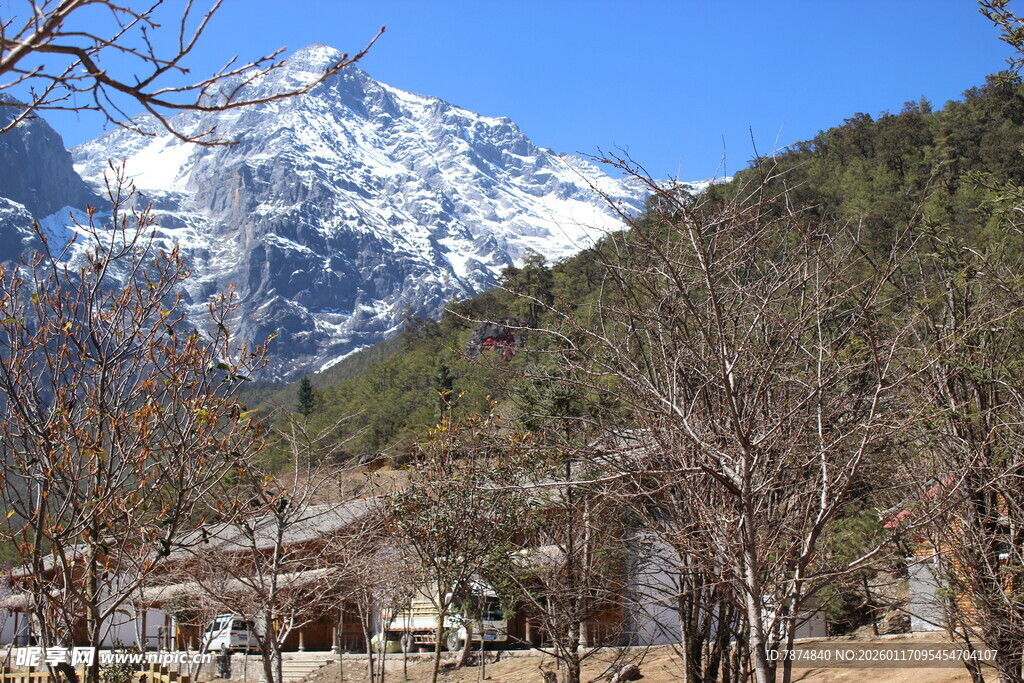雪山下的山林景观