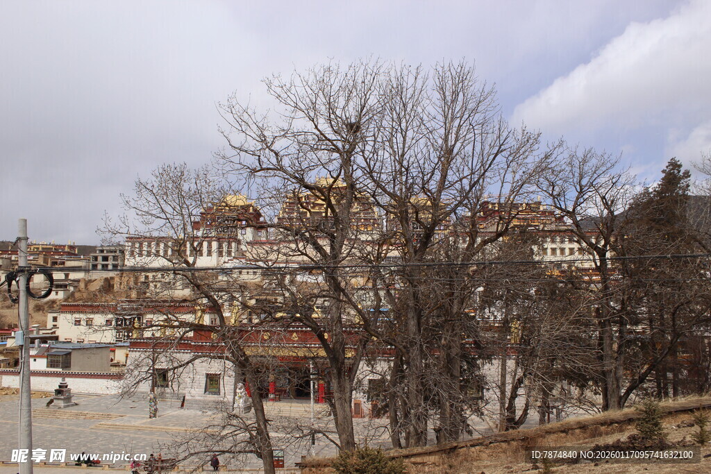 藏式建筑村落景观