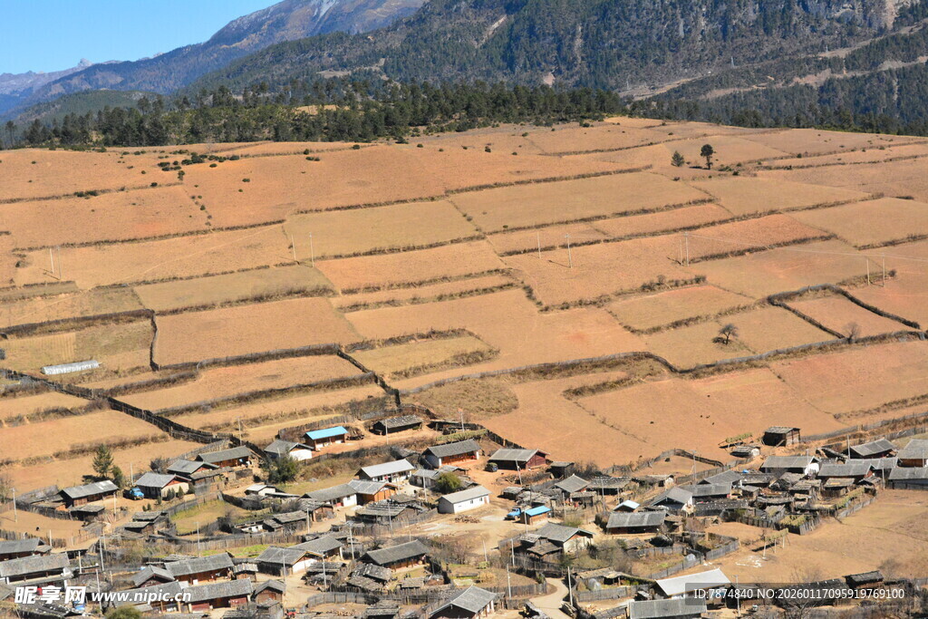 俯瞰田野与村落景观