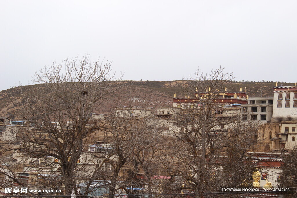 山坡上的建筑与枯树景观