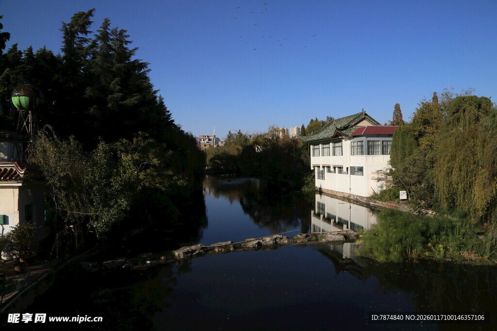 河畔风景 静谧建筑与绿树