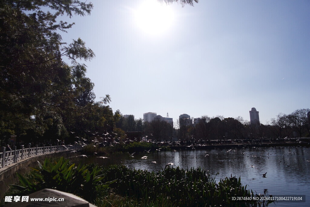 湖畔风光美景