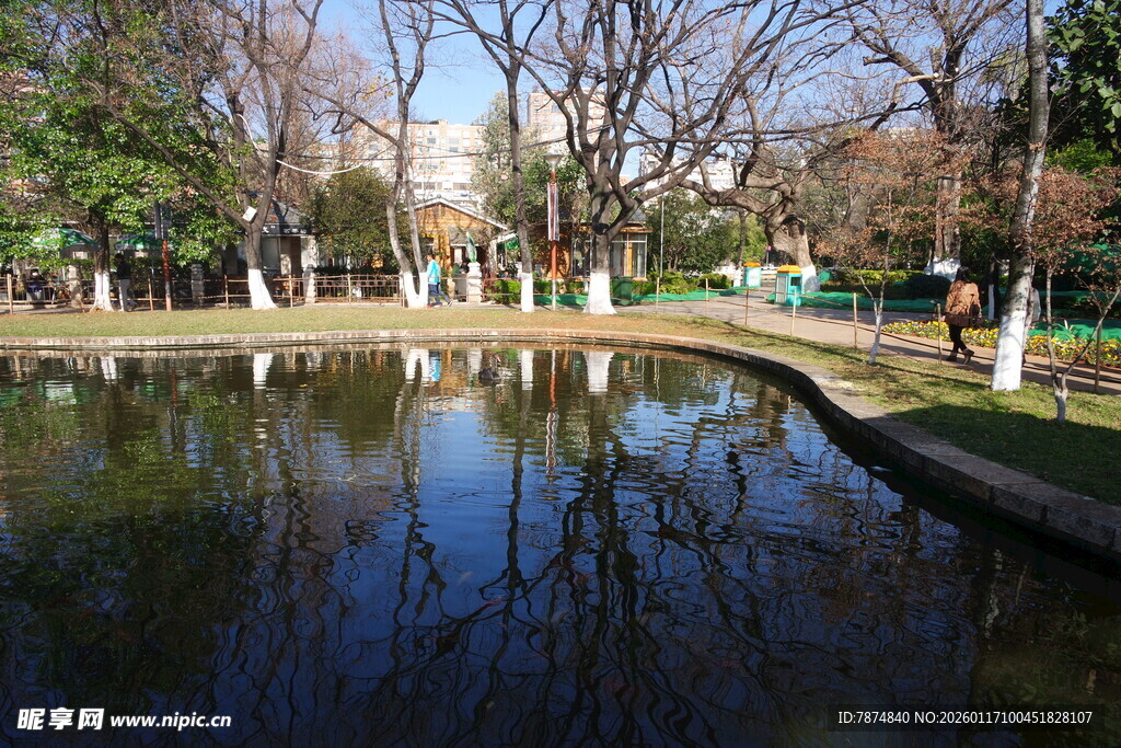 公园静谧池塘风景