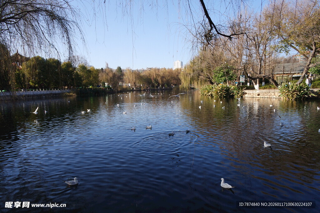 宁静湖畔的自然景致