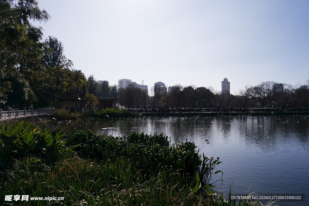 湖畔自然风光美景