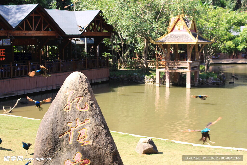湖畔特色建筑与休闲场景