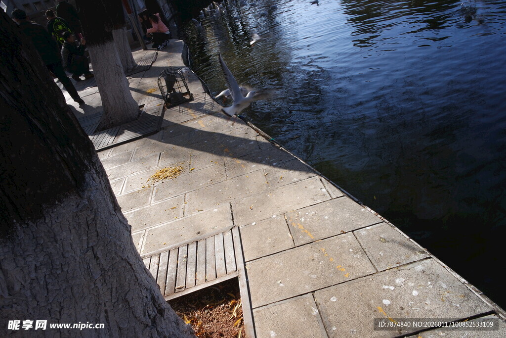 河边石板步道 静谧景致