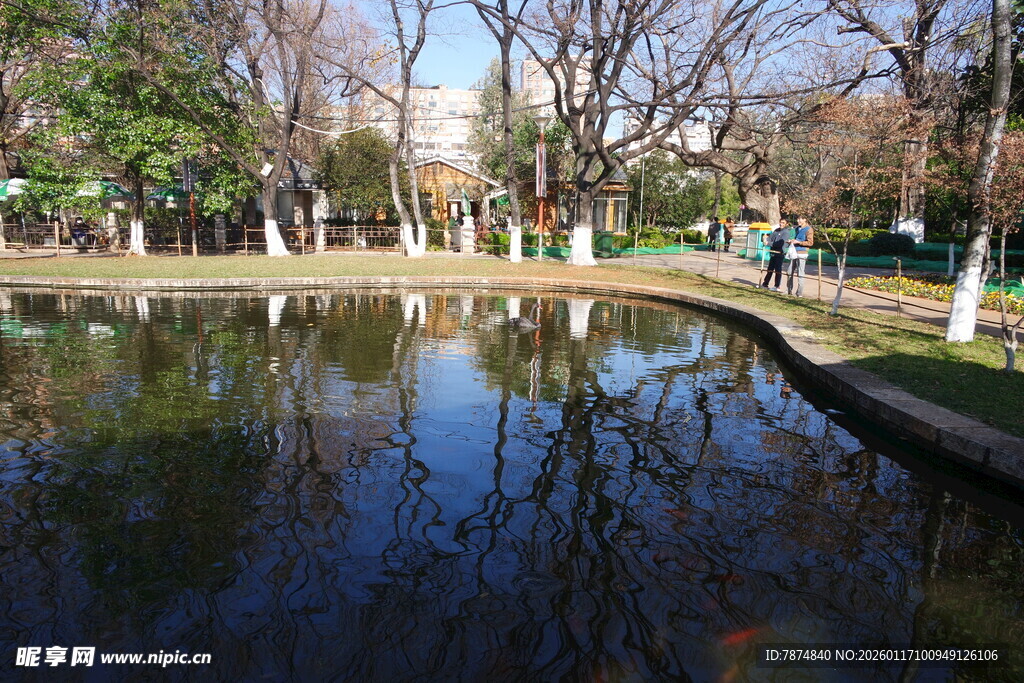 公园宁静池塘景观