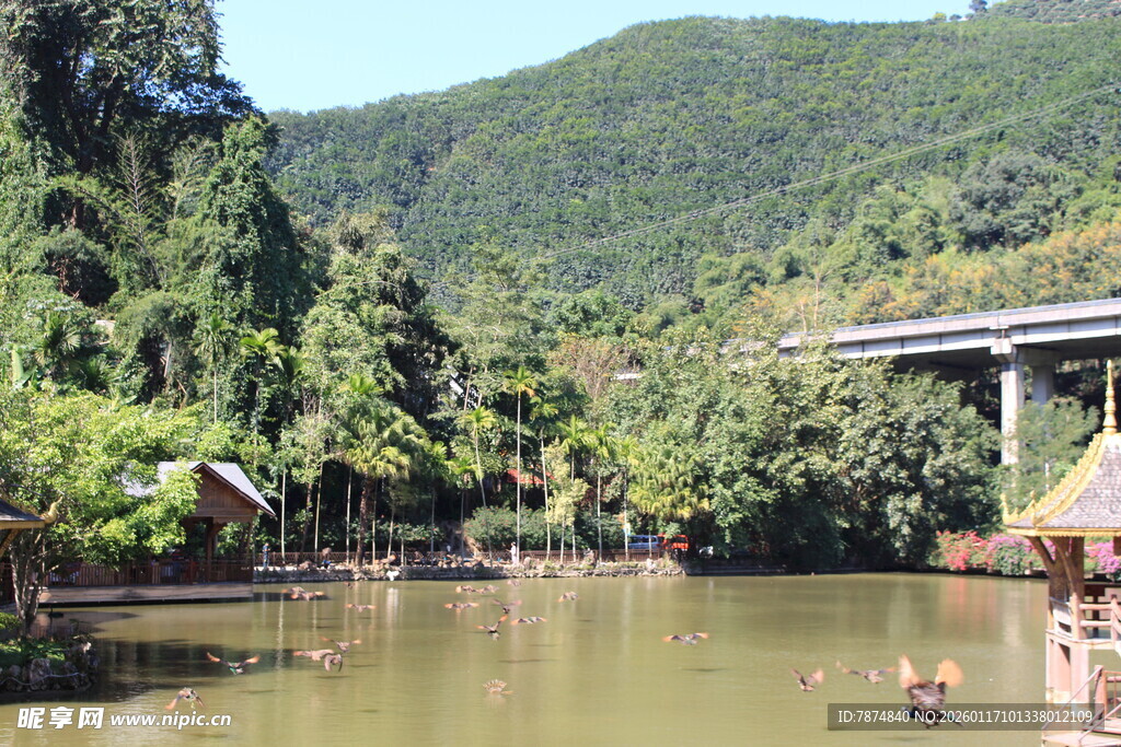 山间河畔的自然景致