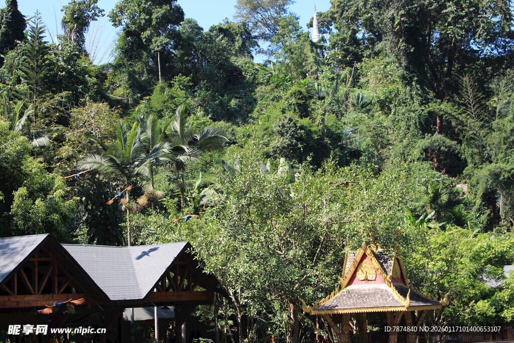 山林中的特色小屋