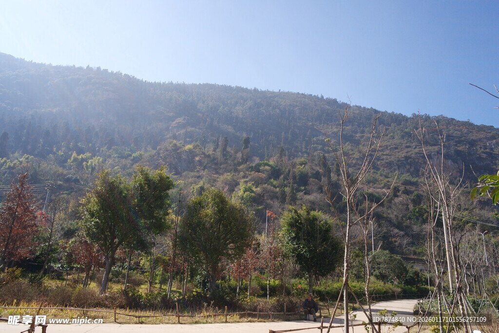山间景色 绿树环绕的自然地