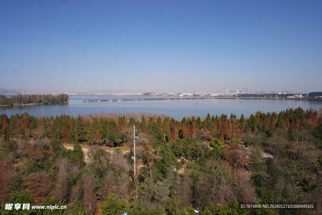 湖畔森林全景风光