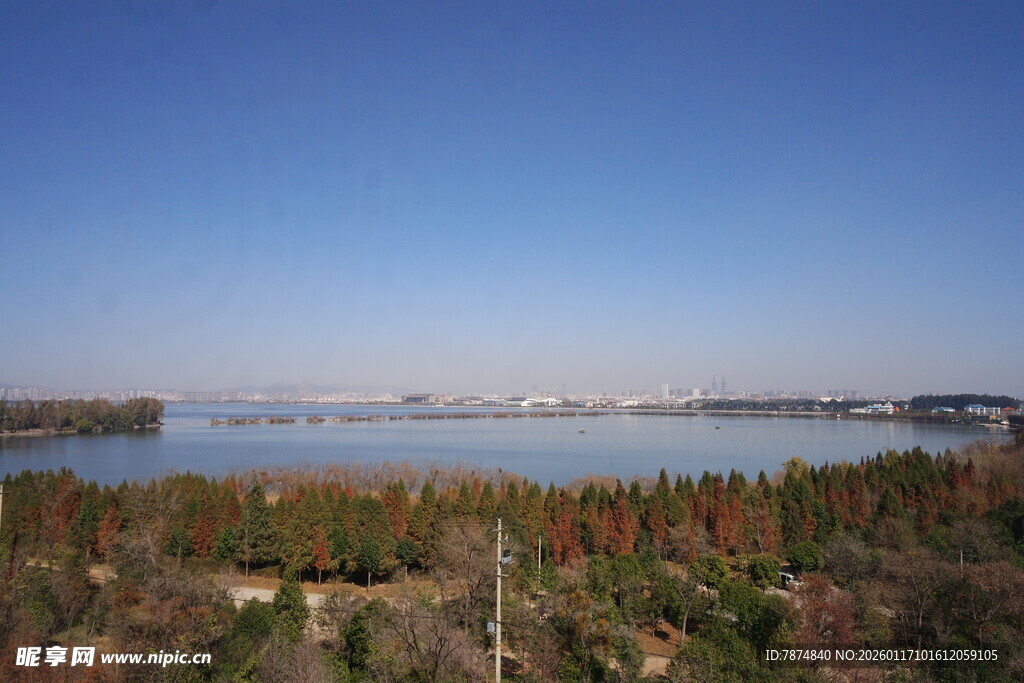 湖畔森林美景