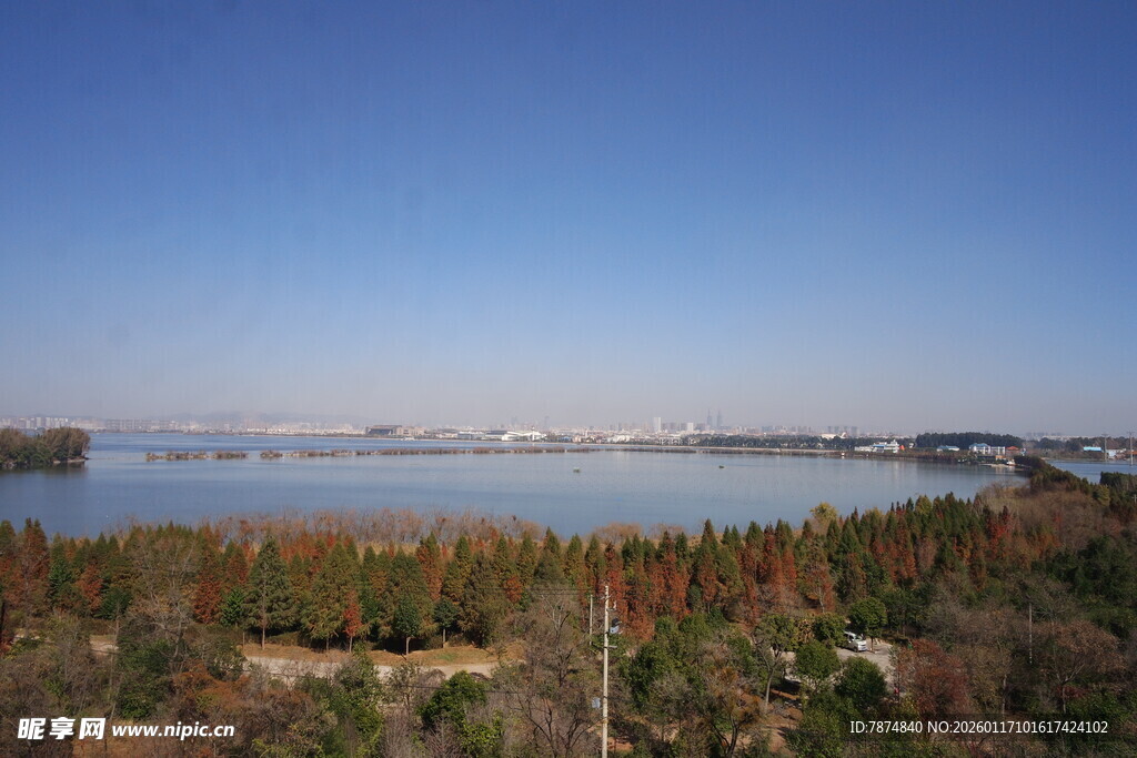 湖畔风光 绿树环绕的美景