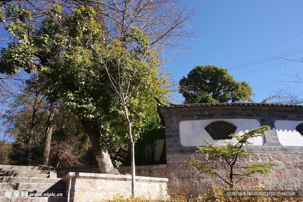 乡村小屋旁的葱郁树木