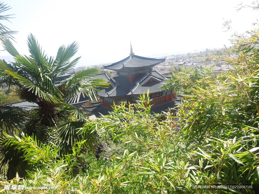 中式园林古建筑隐于绿植间