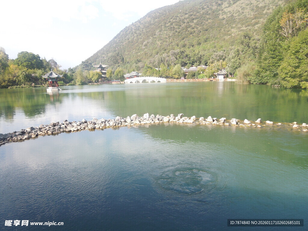 湖畔群鸟栖息的美丽景致