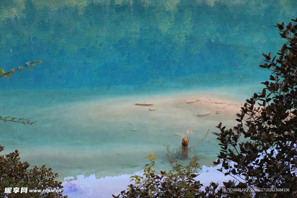 美丽湖畔自然风光