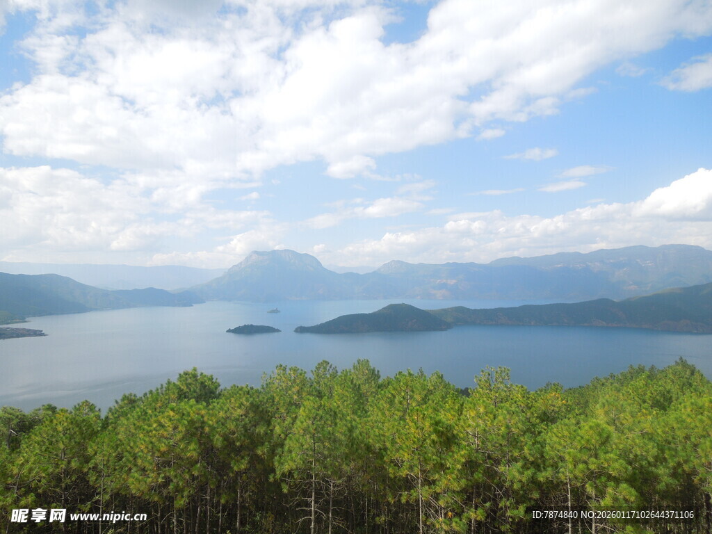 湖畔松林美景
