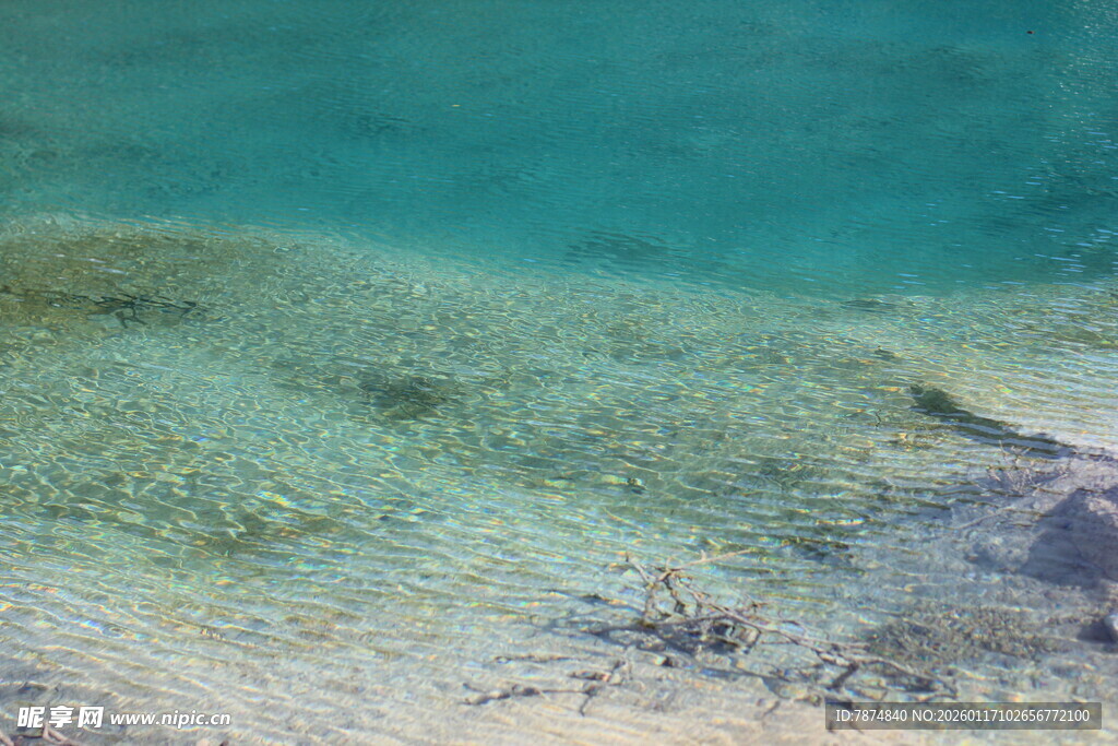 清澈见底的海边浅滩