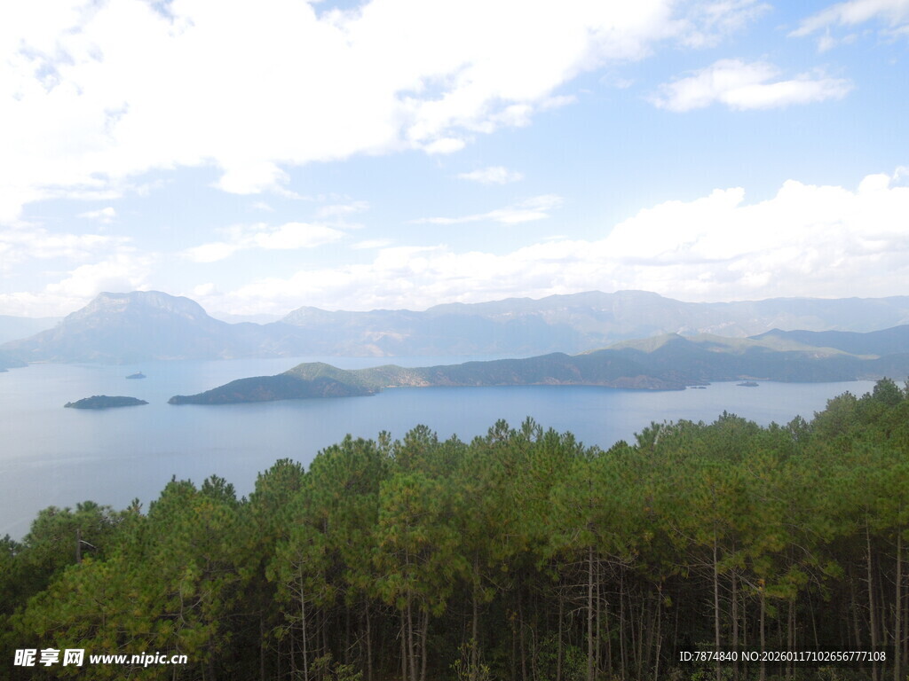 湖畔松林与远山美景