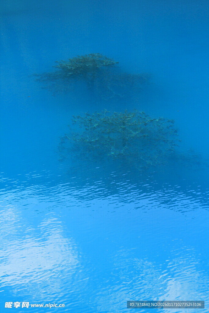 梦幻蓝色水底景观
