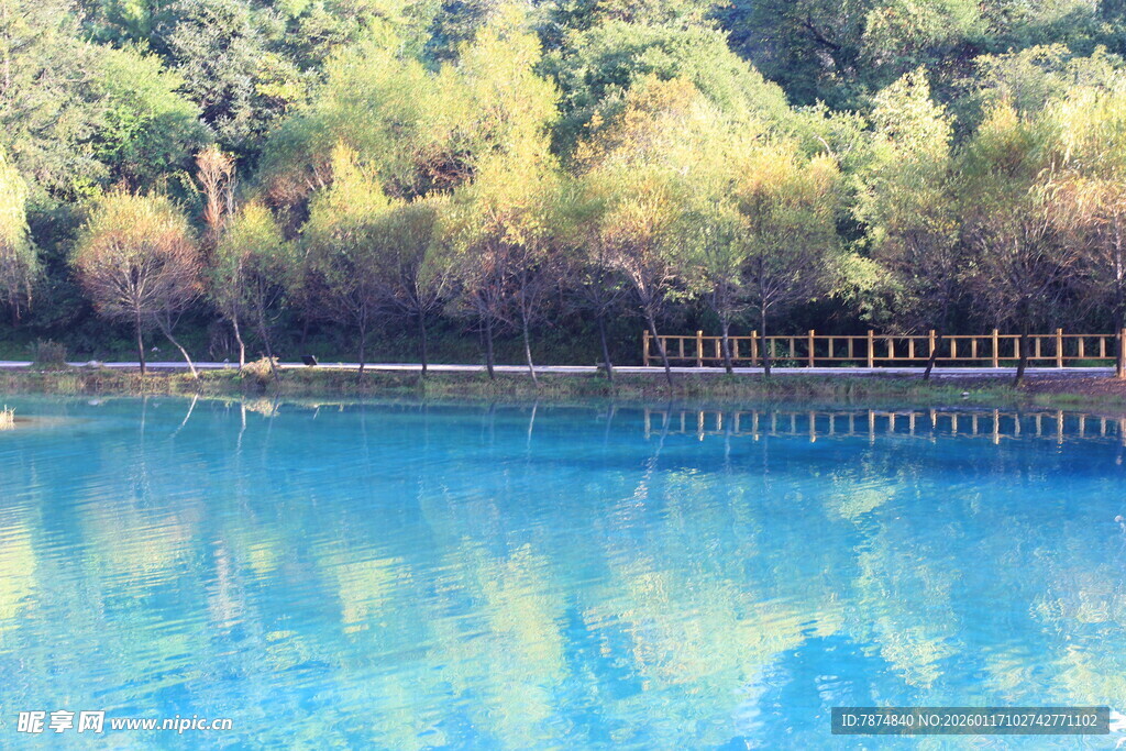 湖畔翠绿山林与湛蓝湖水