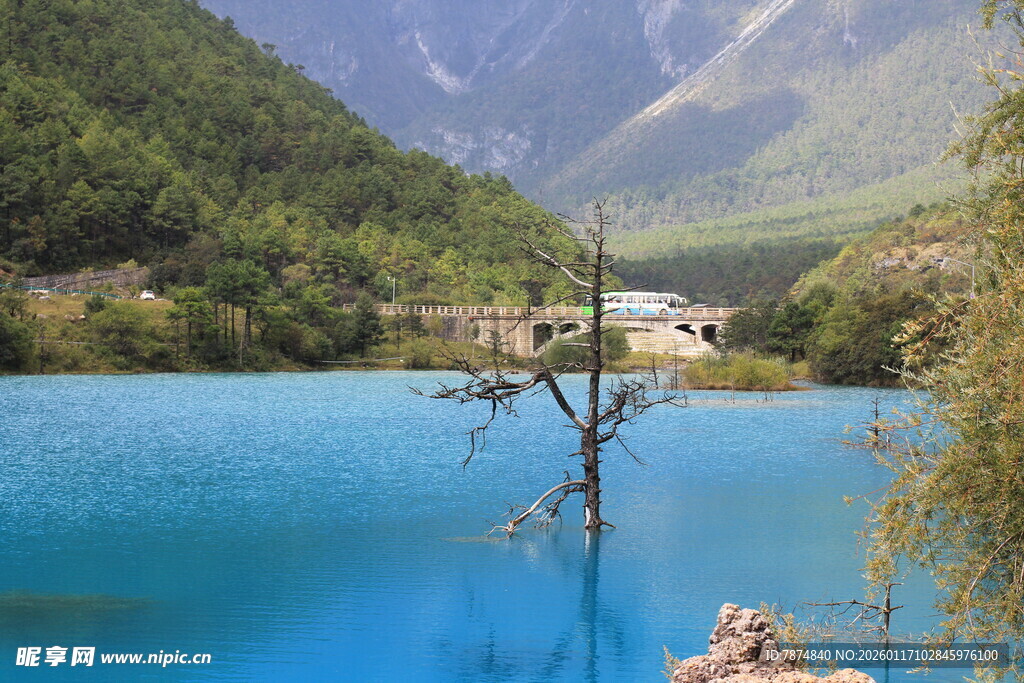 梦幻蓝湖伴山间孤树