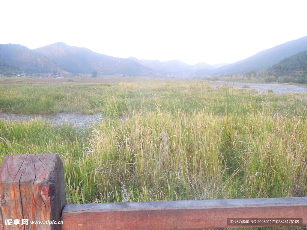 田园风光中的木栏与草地