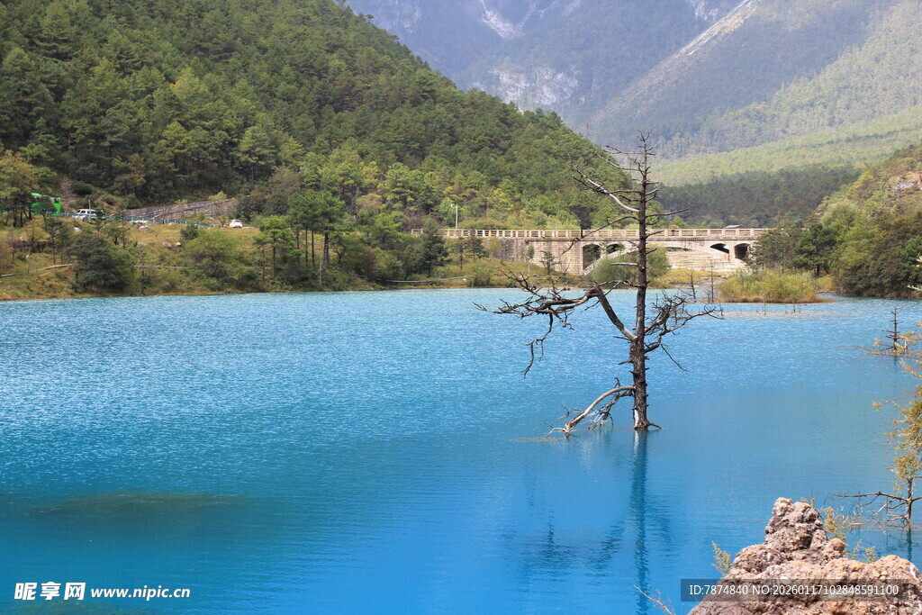 蓝湖孤树伴青山美景