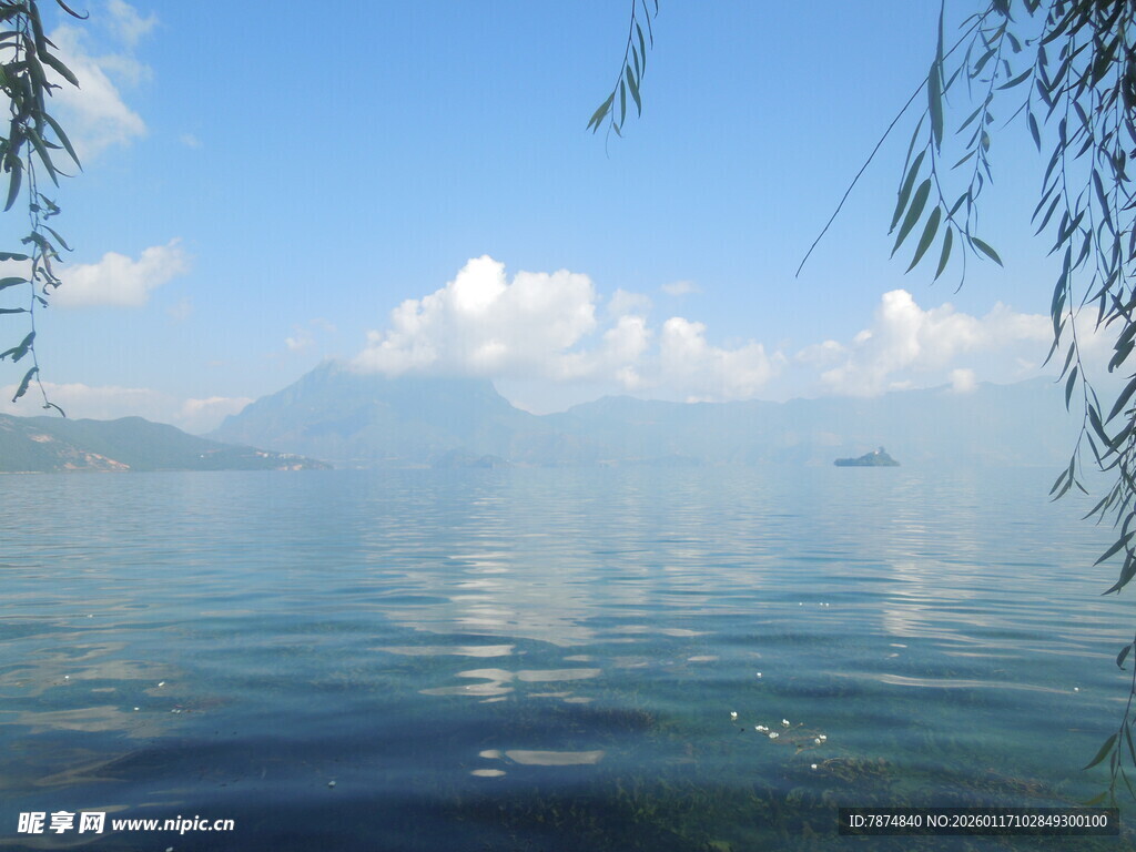 宁静湖畔垂柳映蓝天