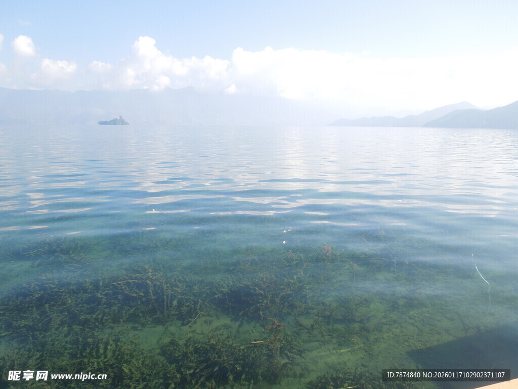 水下与水面的自然美景