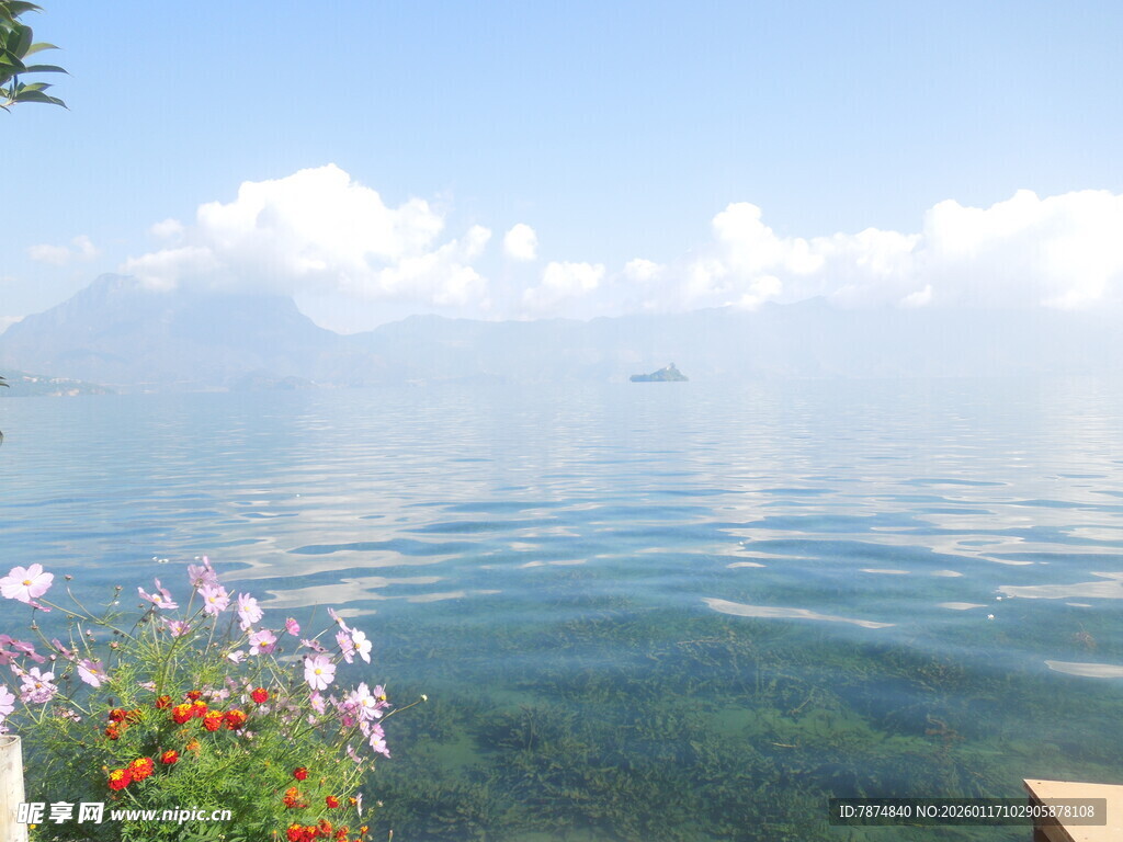 湖畔花丛与开阔水面美景