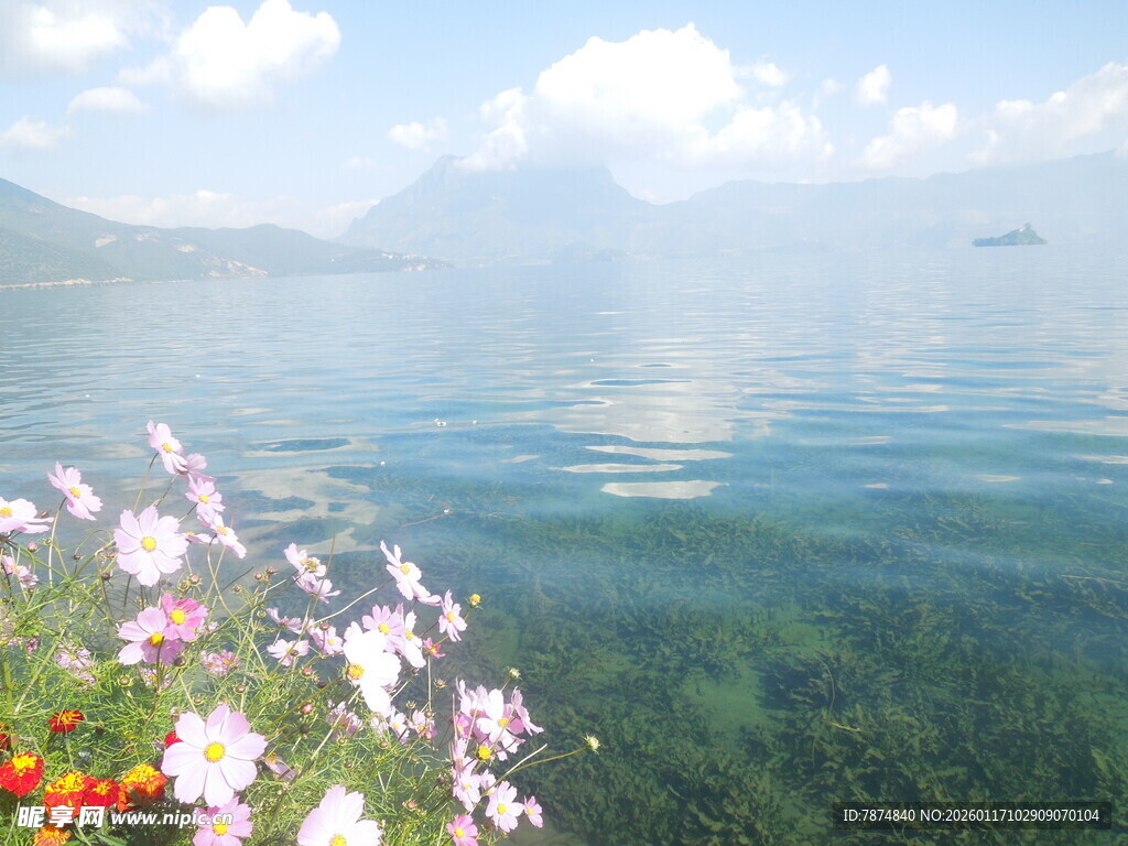 湖畔繁花与澄澈湖水美景