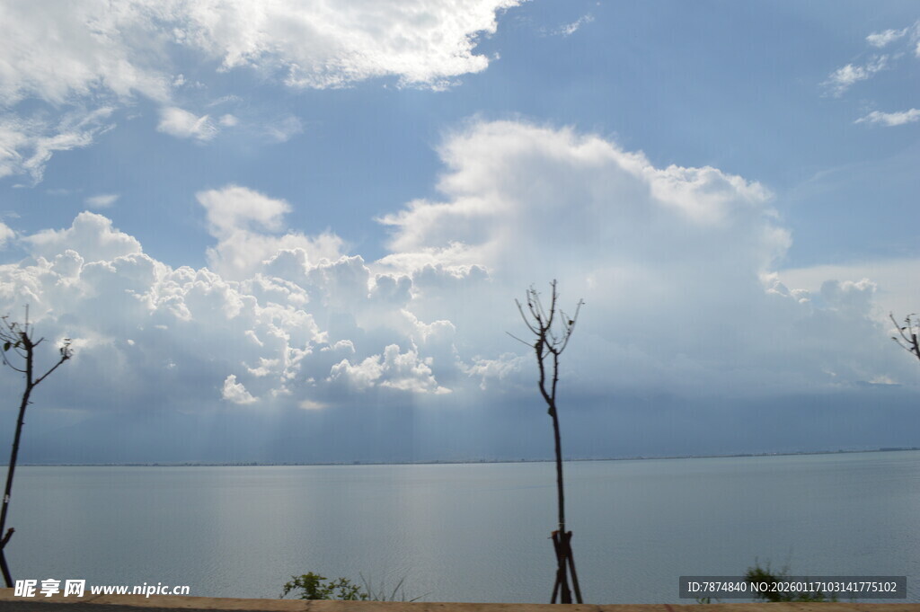 湖畔孤树 蓝天白云之景