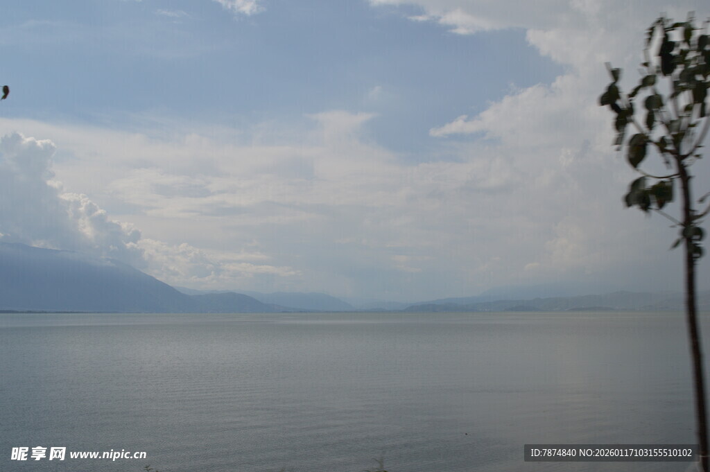 湖畔孤树 远山云雾美景