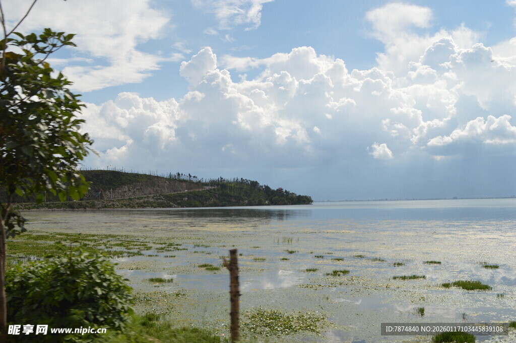 海边景致 水草与蓝天相映