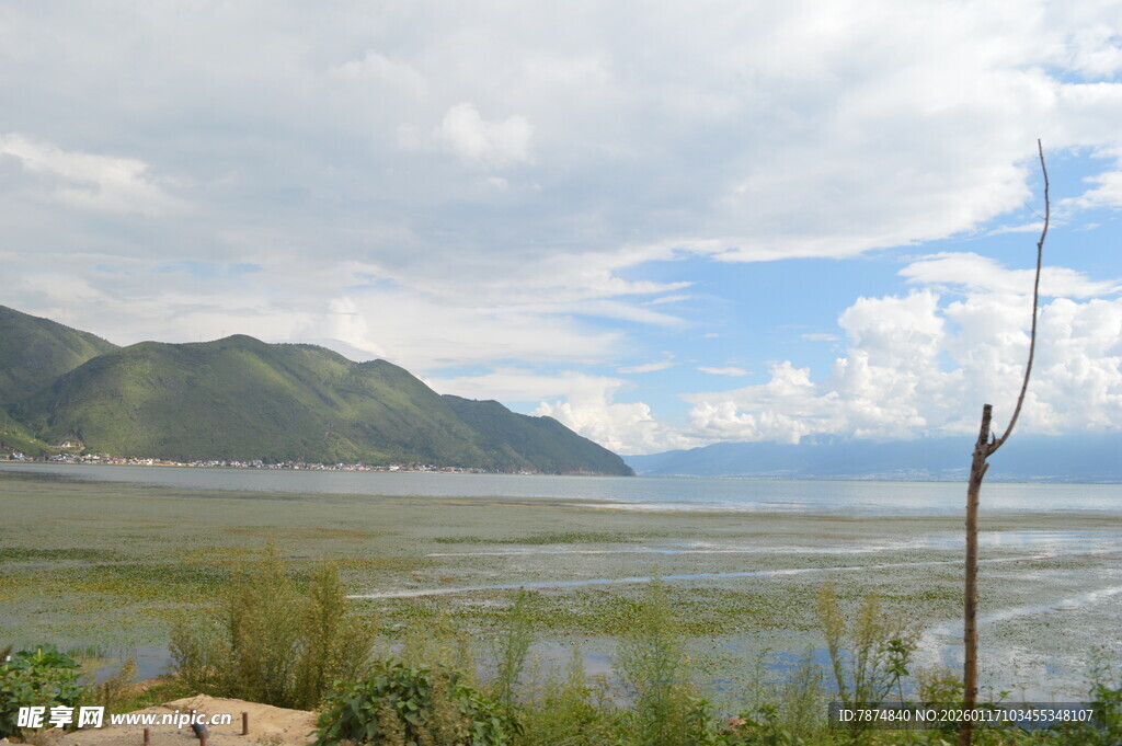 湖畔草原风光