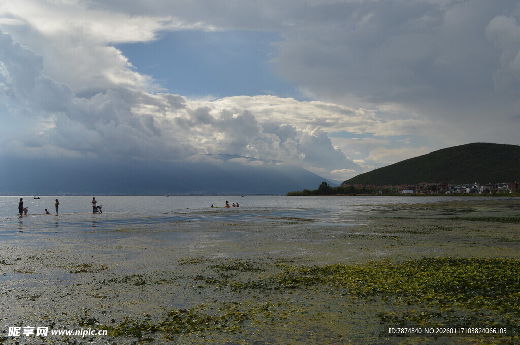 海边浅滩漫步的悠闲景象
