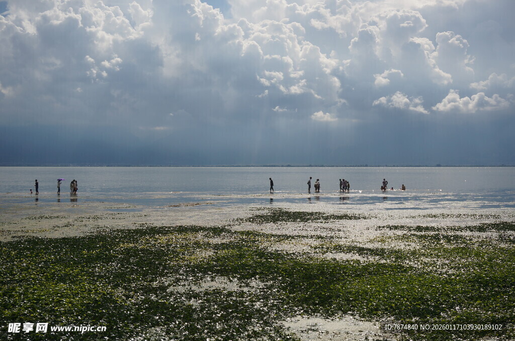 海边漫步的人群与自然美景