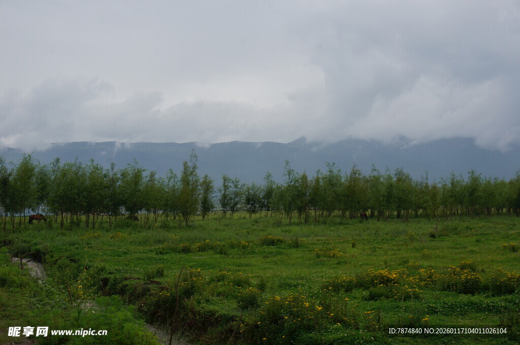 绿野远山 自然清新景致