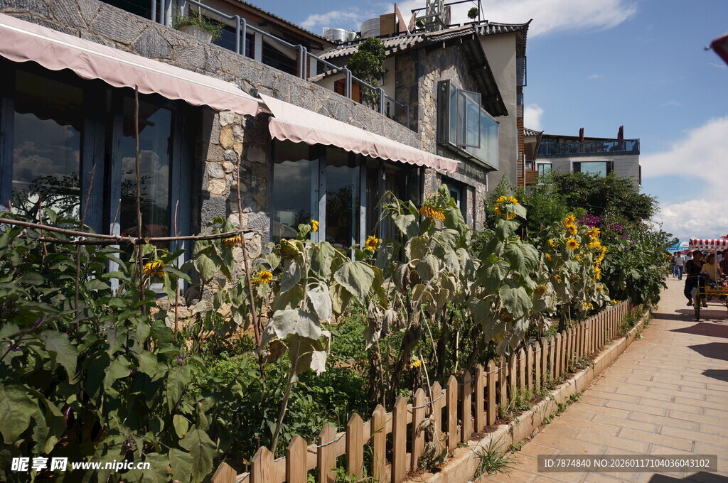 街边绿植环绕的温馨小屋