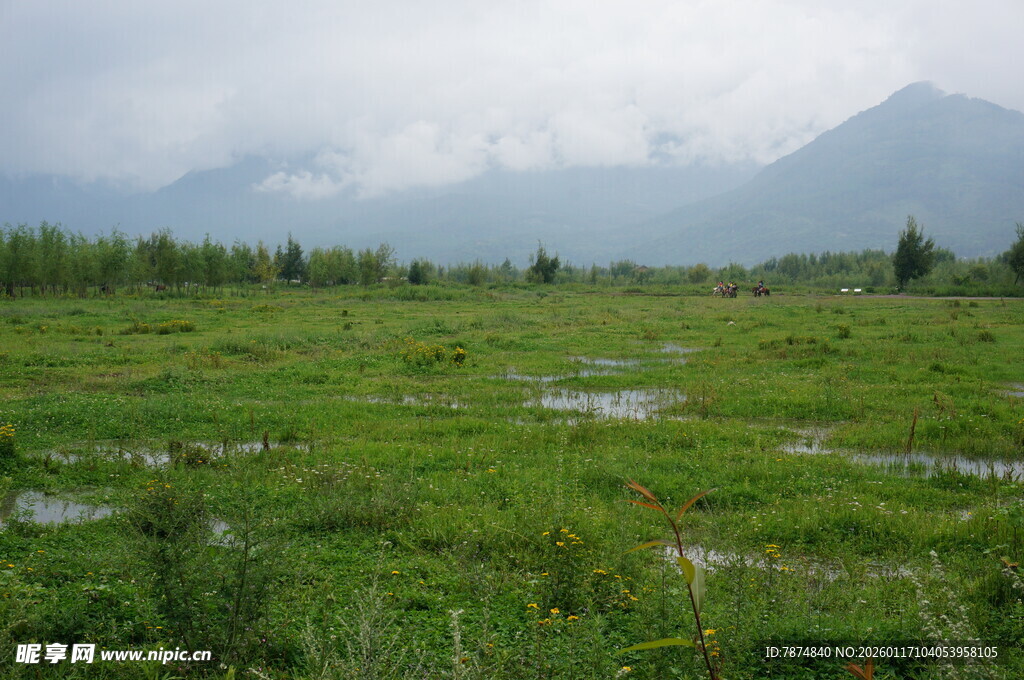 广袤绿野与远山风景