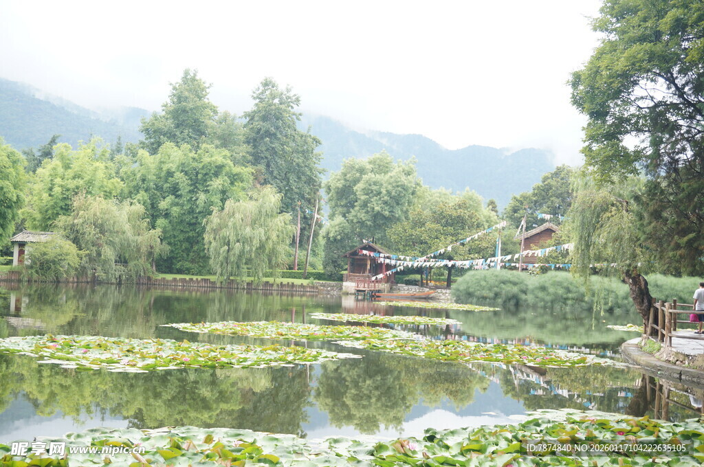 宁静湖畔 绿意盎然的水乡风光