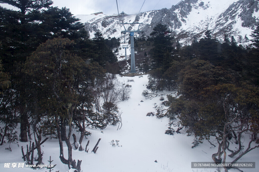 雪山林间雪景