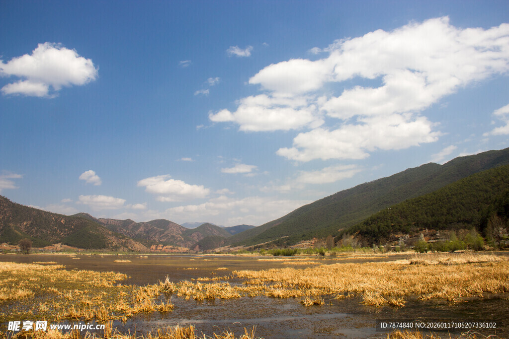 山间湿地风光