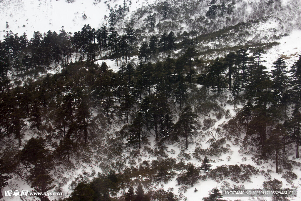 冬日山林雪景图