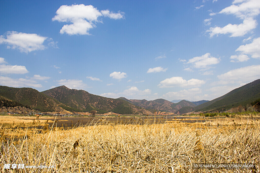 秋日旷野 远山蓝天芦苇景